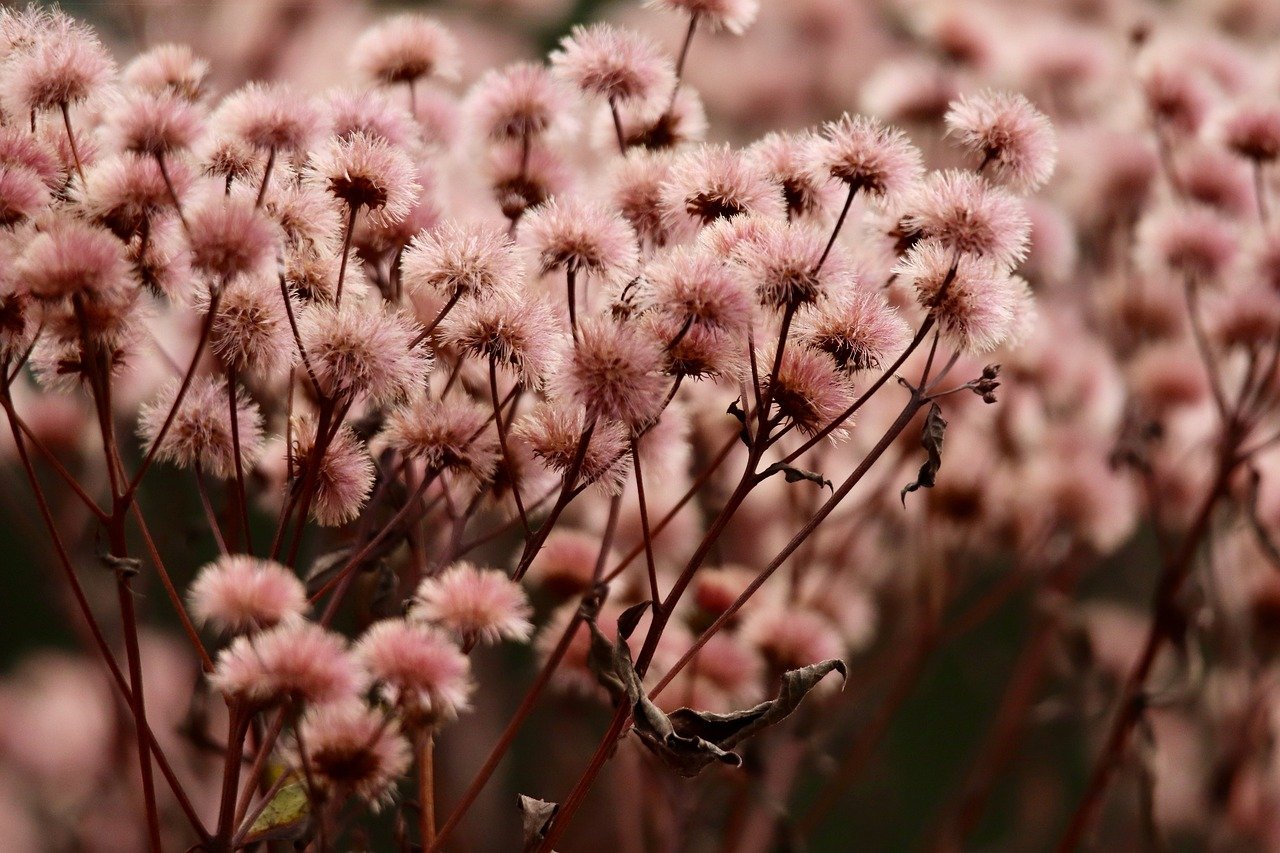 暮光起源：天津公司注册代理商查询