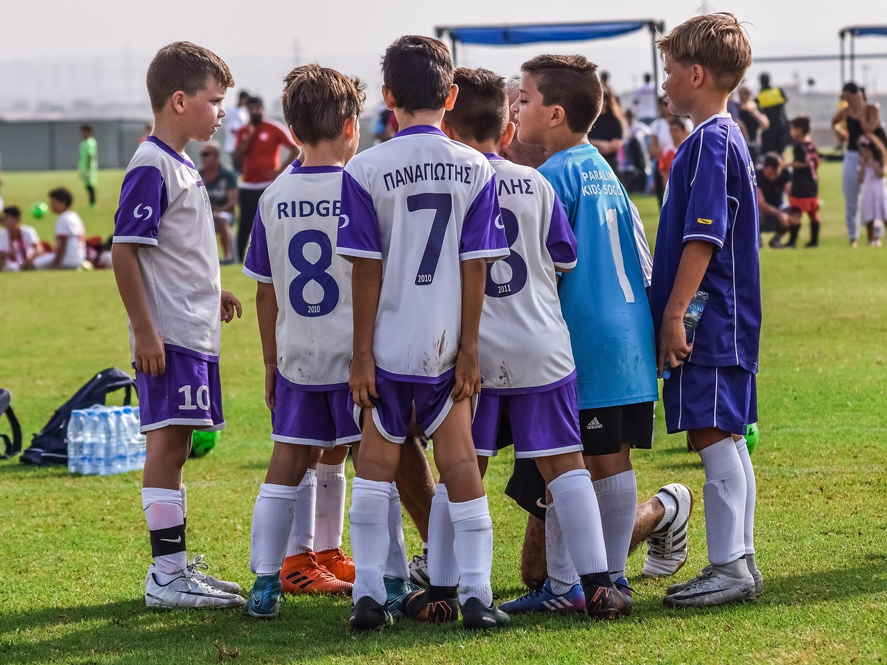 Peel百乐红酒爆珠:东瀛团队竞技app详情下载教程