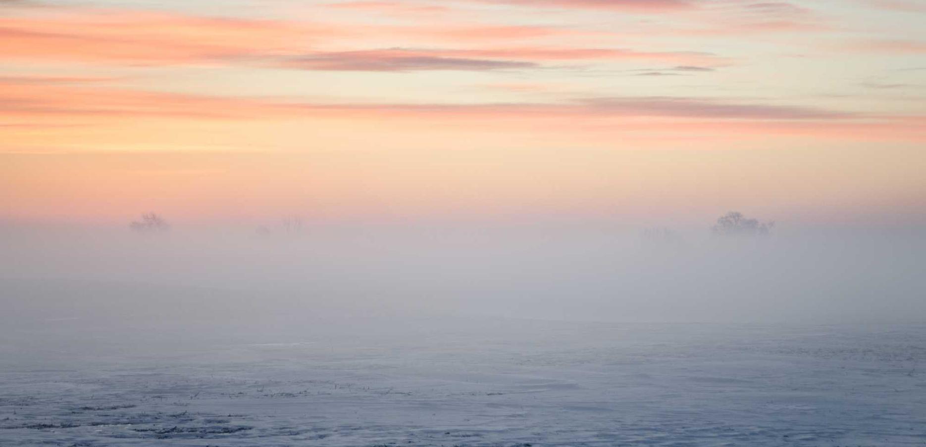 如何防范技术支持精神感染所带来的道德风险？