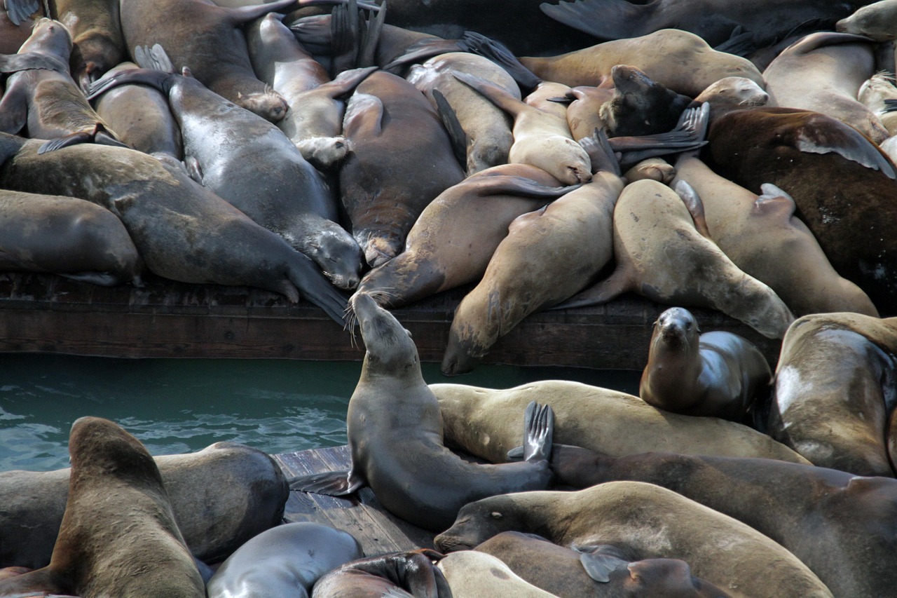 CC在线压力测试|智慧南川app详情下载教程